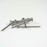 Ağaç dikerken neden deliğin dibine paslı çiviler koyuyorlar: Fidenin sağlığına dair çelik bir argüman agac-dikerken-neden-deligin-dibine-pasli-civiler-koyuyorlar-fidenin-sagligina.jpg