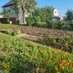 Ay takvimi neden hava durumuna göre ayarlanmadan çalışmıyor: astrolojik yaklaşımı açığa vurmak ay-takvimi-neden-hava-durumuna-gore-ayarlanmadan-calismiyor-astrolojik-yaklasimi.jpg