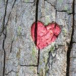 Bir çiftte kişisel sınırlara neden ihtiyaç duyulur: eğer aşk tek bir organizmada birleşme değilse bir-ciftte-kisisel-sinirlara-neden-ihtiyac-duyulur-eger-ask-tek.jpg