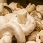 Islak mantarları kızartırsanız ne olur: neden altın bir lezzete değil de haşlanmış kauçuğa dönüşüyorlar? islak-mantarlari-kizartirsaniz-ne-olur-neden-altin-bir-lezzete-degil.jpg