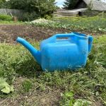 Pahalı bir sistem yerine sulama kabı: damla sulamanın kendi ellerinizle nasıl organize edileceği pahali-bir-sistem-yerine-sulama-kabi-damla-sulamanin-kendi-ellerinizle.jpeg