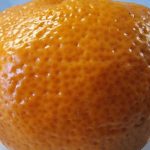 Portakal kabukları iç mekan bitkilerini tatarcıklardan nasıl kurtarır: böcekler için narenciye bariyeri portakal-kabuklari-ic-mekan-bitkilerini-tatarciklardan-nasil-kurtarir-bocekler-icin.jpg