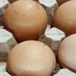 Yumurtaları kaynattıktan sonra suyu atmayın: bahçeniz için unutulmuş bir numara yumurtalari-kaynattiktan-sonra-suyu-atmayin-bahceniz-icin-unutulmus-bir-numara.jpg